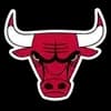 Chicago Bulls